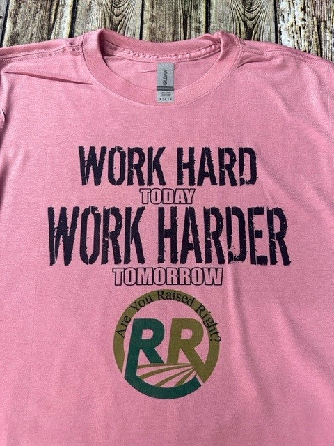 Work Hard/Work Harder T-Shirt (pink)