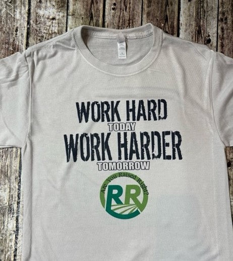Work Hard/Work Harder T-Shirt (silver)
